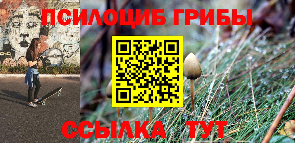 где купить наркоту  Галлюциногенные грибы Magic Shrooms  Туймазы  Вход с VPN  Галлюциногенные грибы ЛСД 
